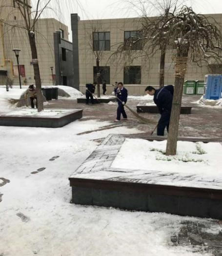物业扫雪 情暖小区