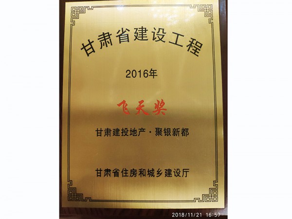 甘肃省建设工程2016年飞天奖