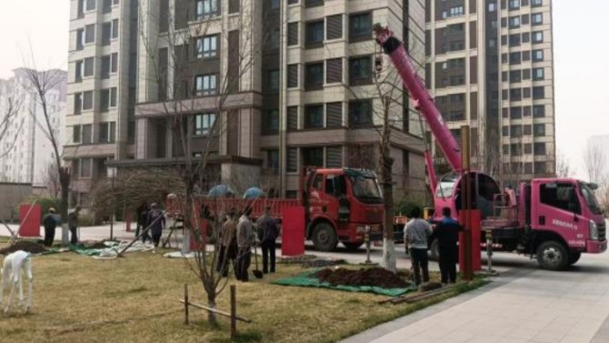 植此青绿映匠心 品质家园焕新颜 ——百郦荣锦苑项目开展春季园林补种活动